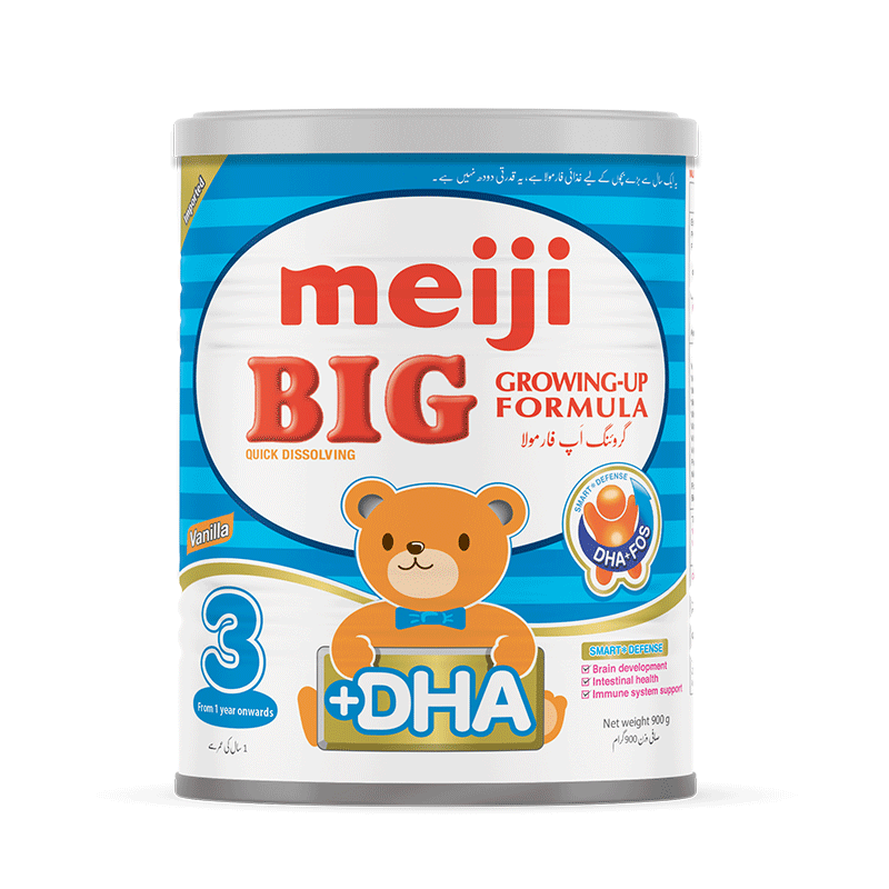MEIJI BIG 900GM LARGE